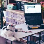 Screen and Addiction: Must-Watch Sitcom Series Screen and Addiction: Must-Watch Sitcom Series