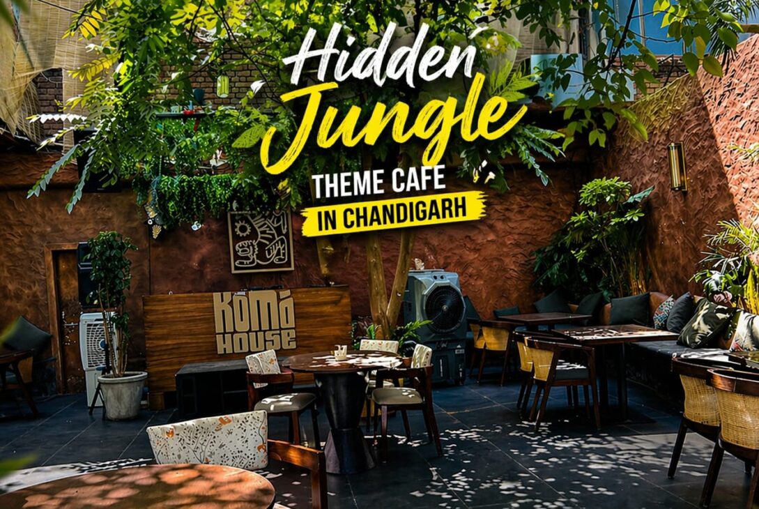 KOMO House Chandigarh cafe jungle theme outdoor seating with greenery aesthetic vibe